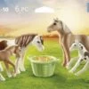PLAYMOBIL® Country - 2 Island Ponys Mit Fohlen -Playmobil Verkaufsgeschäft 43274171 3 2 4008789710000 1280x1280