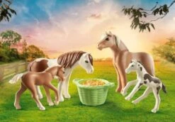 PLAYMOBIL® Country - 2 Island Ponys Mit Fohlen -Playmobil Verkaufsgeschäft 43274171 7 2 4008789710000 1280x1280