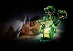 PLAYMOBIL® Wiltopia - Nachtlicht Regenwald -Playmobil Verkaufsgeschäft 71009 pt05 1280x1280